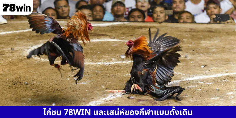 ไก่ชน 78WIN และเสน่ห์ของกีฬาแบบดั้งเดิม